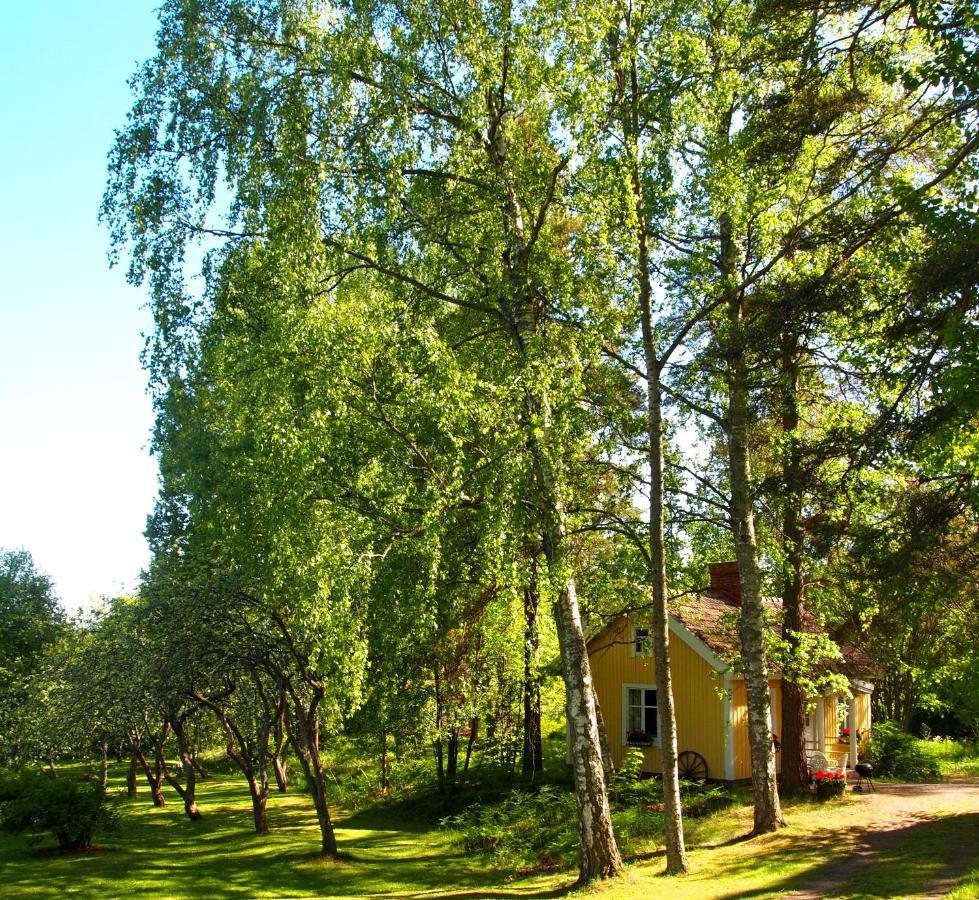 Tammiston Cottages ناتالي المظهر الخارجي الصورة